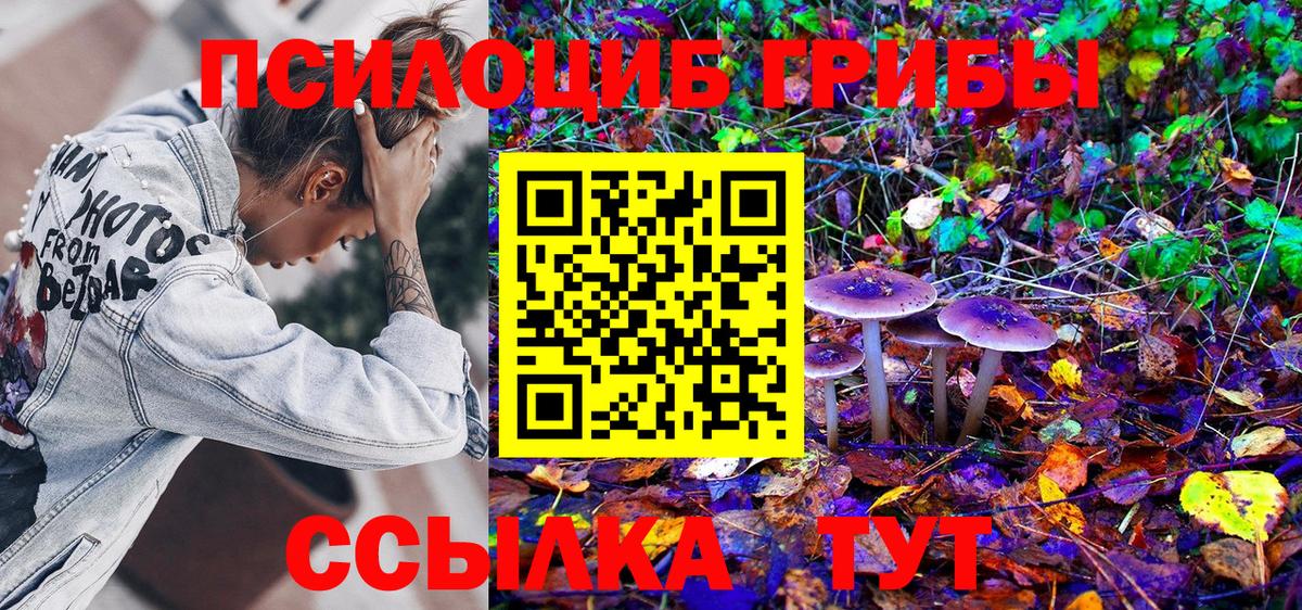 Псилоцибиновые грибы ЛСД Всеволожск
