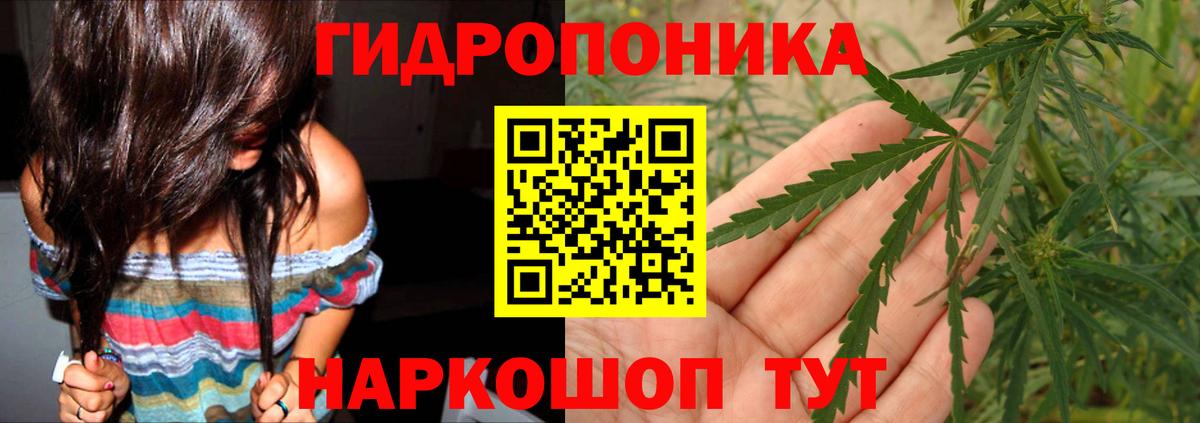 Конопля Amnesia Всеволожск